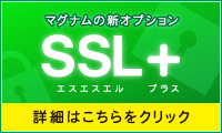 SSL 옵션을 시작했습니다