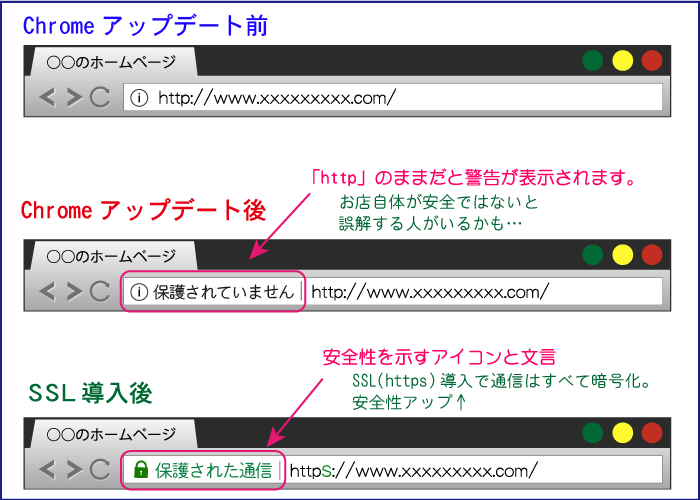 업데이트 전/후